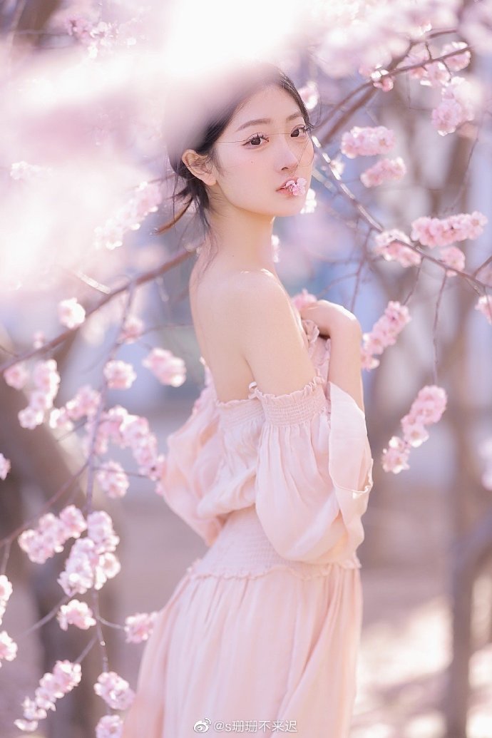 电脑也能历史可清 · 音乐